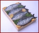 SA146 Tray of Fish on Ice