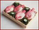 SA340 Tray of Fish on Ice